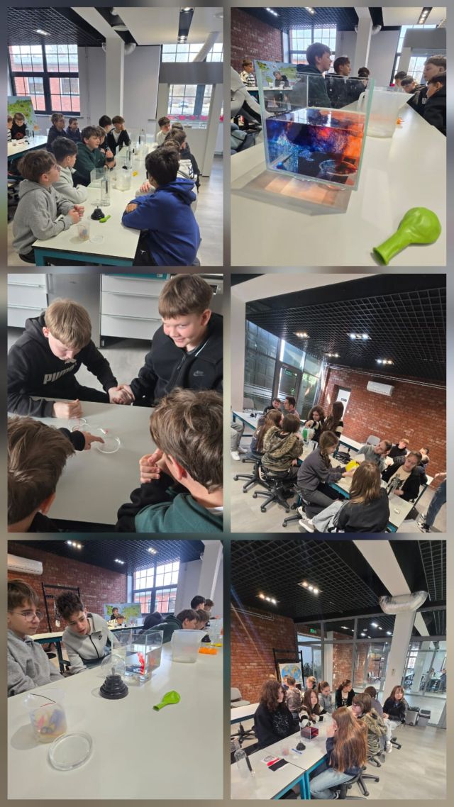 WhatsApp Image 2026 03 25 at 15.24.55 2