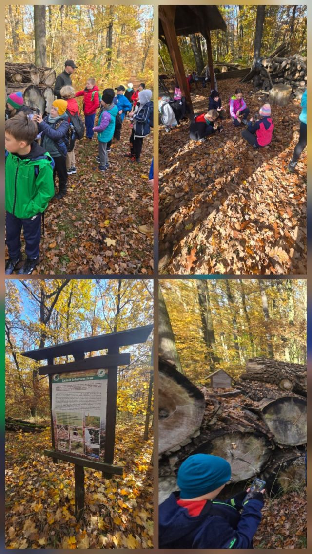 WhatsApp Image 2025 11 07 at 10.57.41