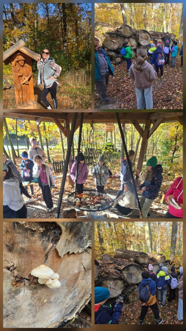 WhatsApp Image 2025 11 07 at 11.00.04