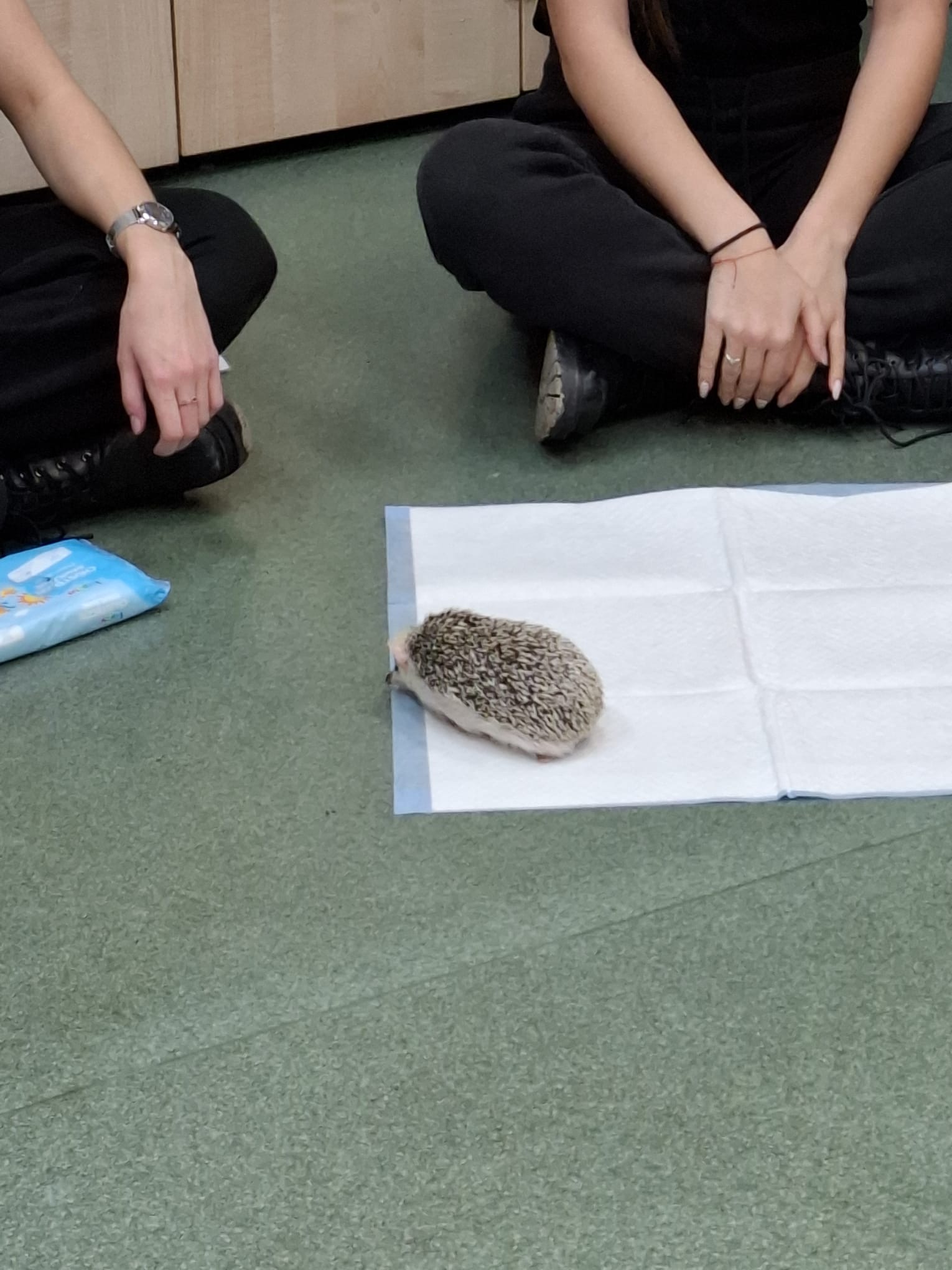 3bdd3d97 c06a 49d5 be9c 07e6622f069a