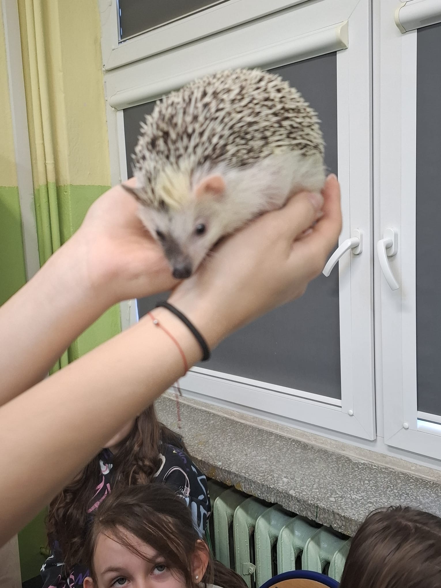 a2916b3e e616 447b 943c 9e65724cea98