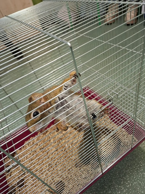 d85b3eda dfc1 4db6 864d 0809d25a1ccb